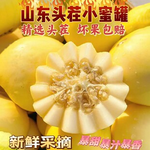 顺丰包邮26年山东胡集直发小蜜蜂甜瓜头茬香瓜脆白梨瓜当季水果