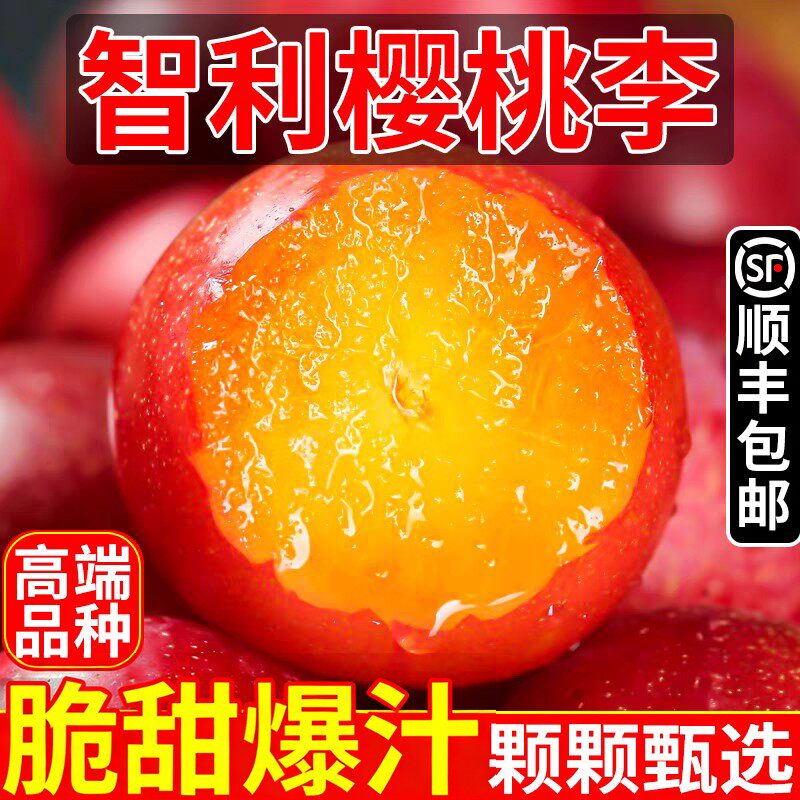 智利进口樱桃李大果新鲜水果孕妇进口大李子顺丰礼盒