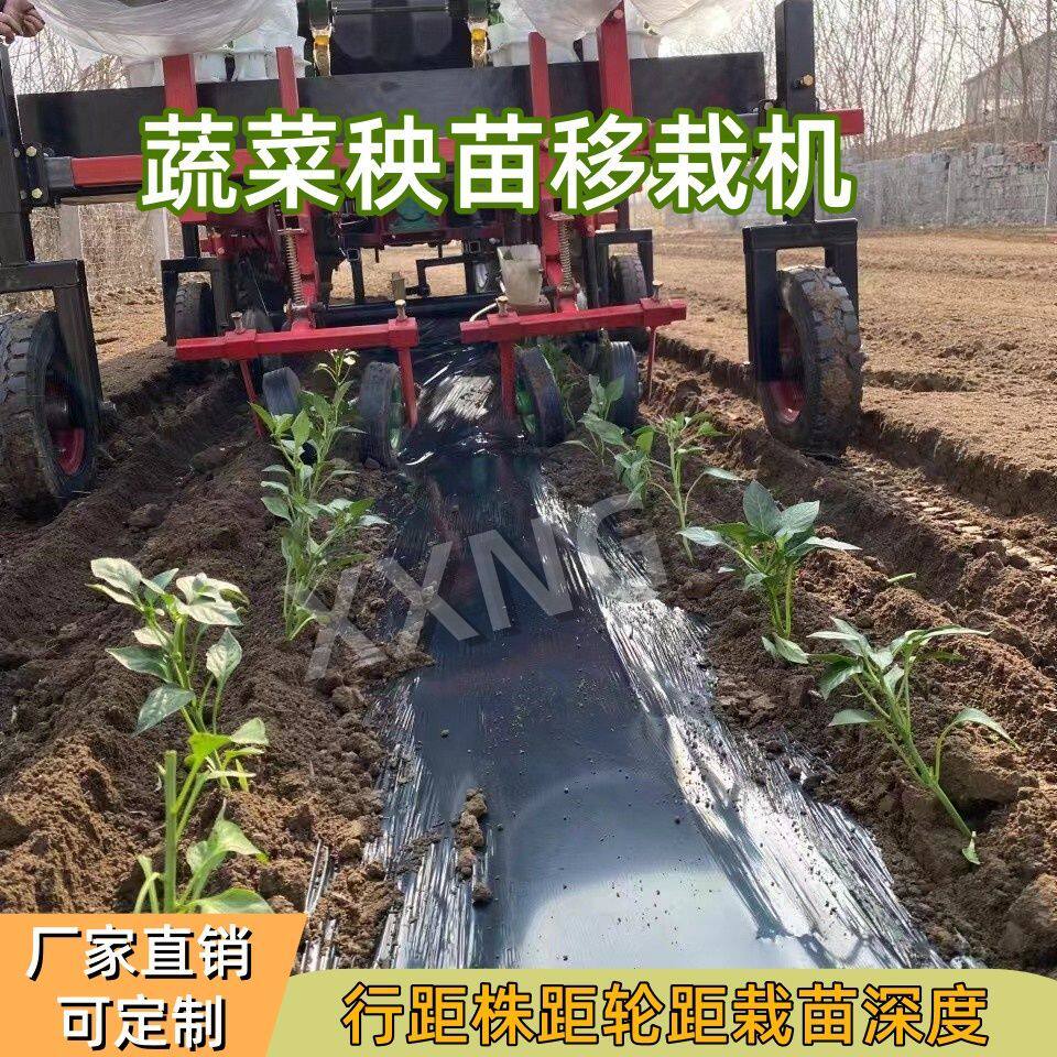 秧苗移栽机四轮拖拉机带蔬菜插秧覆膜机单垄双行可定制油菜移栽机