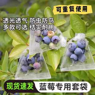 蓝莓套袋专用袋防虫防鸟透气袋水果蔬菜苦瓜番茄草莓桃子通用网袋