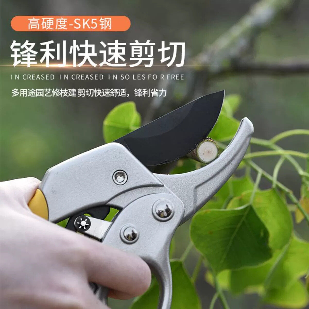 果树修枝剪刀分段式专业省力园艺修剪树枝园林修花枝剪粗枝剪子