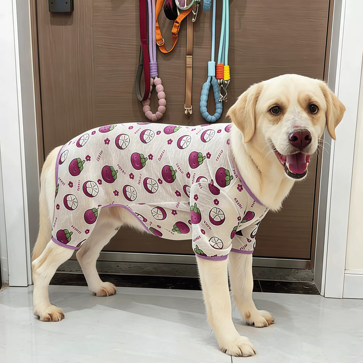 狗狗衣服春夏薄款网纱透气四脚衣中大型犬金毛防掉毛家居服睡衣