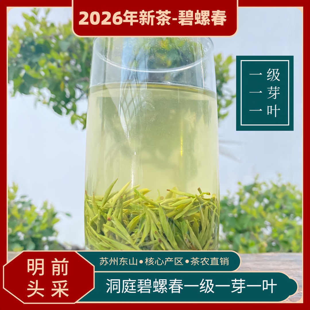 2026年碧螺春新茶 明前头采一级一芽一叶香浓耐泡滋味足 125g/罐