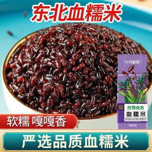 [甄选好品质]十月稻田东北血糯米500g1斤花青素粽子煮粥杂粮甜品