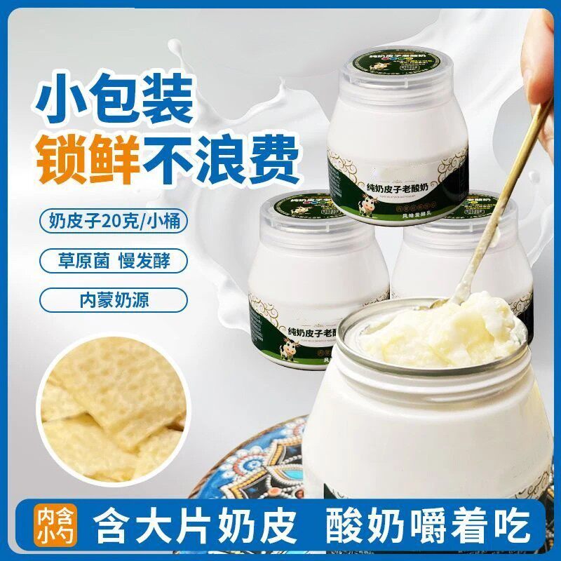 【内蒙直发】奶皮子老酸奶内蒙古特产草原风味非干噎酸奶冷链发货