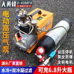 大黄蜂高压打气机30mpa高压气泵40mpa小型单缸水冷电动充气泵冲气
