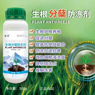 小麦年前生根护根养根壮苗促分蘖抗逆抗寒防冻缓解冻害叶面肥