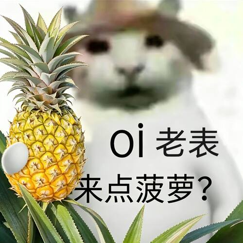 中山特产神湾菠萝/水果新鲜现摘免泡盐水香甜/产地直发