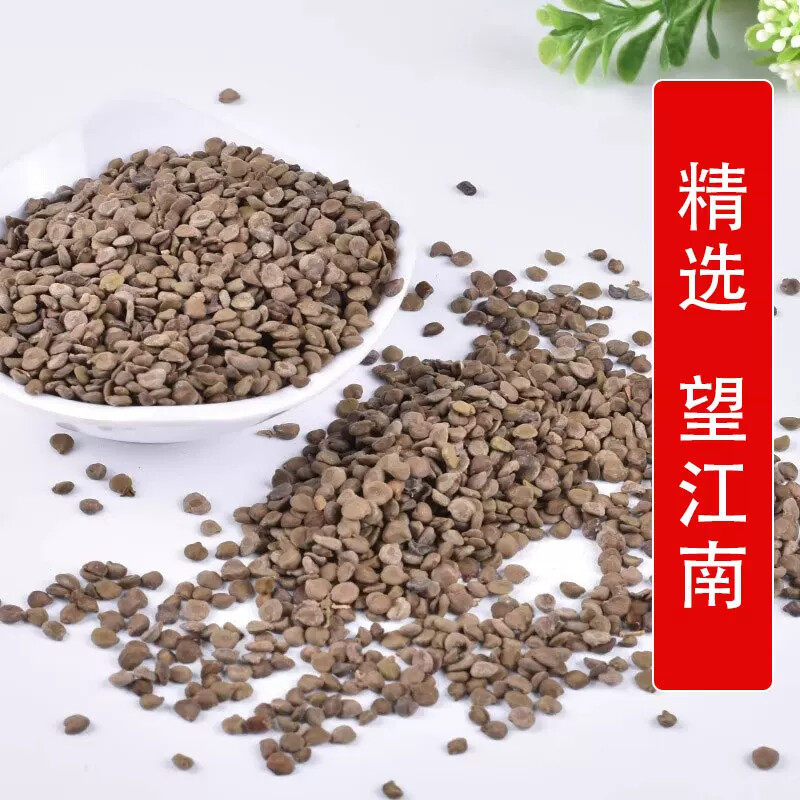 秦岭野生中药材望江南500g别名羊角豆 野扁豆 狗屎豆 金豆子