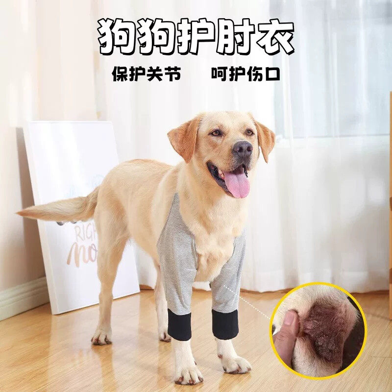 狗狗护肘衣关节保护套金毛拉布拉多宠物防脏神器护膝外出四季通用