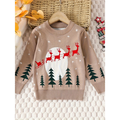 N 95060 Kids Thick Sweater 儿童加厚毛衣跨境速卖通
