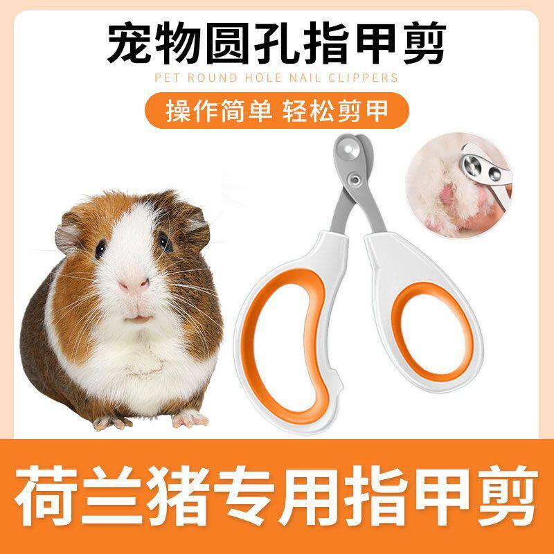 小型萌宠专用修甲钳仓鼠豚鼠日常护理器