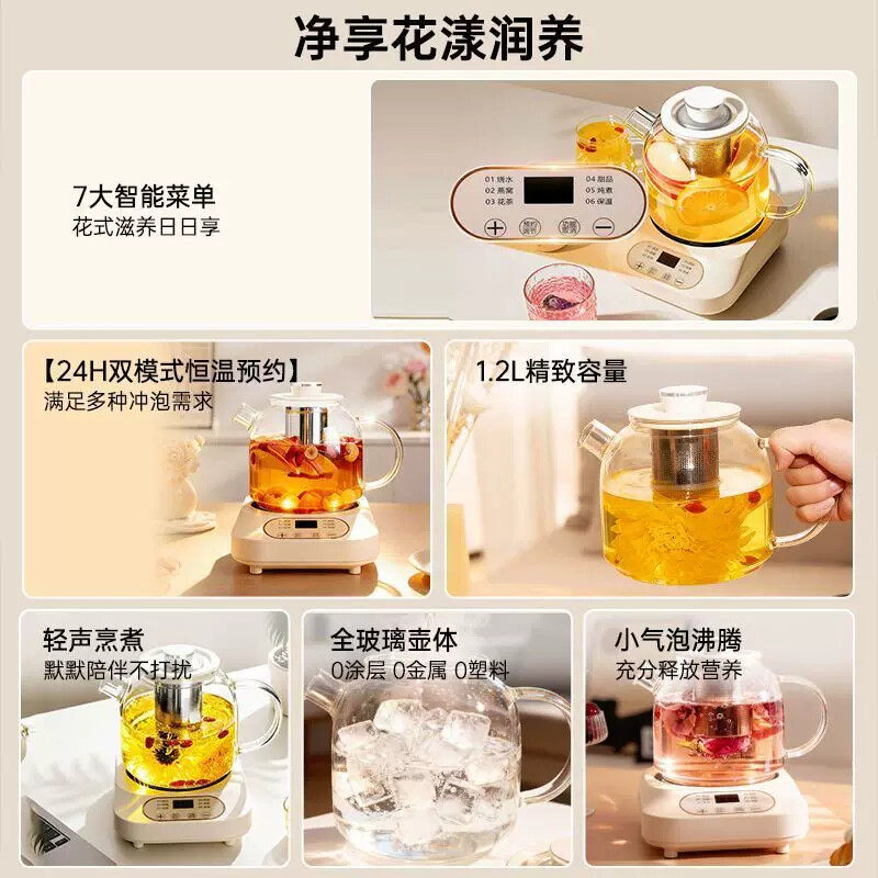 小南瓜多功能养生壶花茶养生壶炖煮纯玻璃煮茶壶家用小型热烧水壶