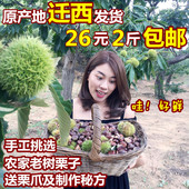 包邮 新鲜河北野生栗子小板栗迁西小伟板栗 生 2025正宗迁西板栗