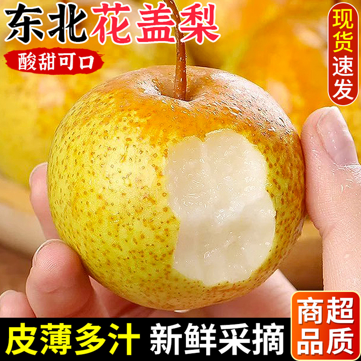 【东北花盖梨】可做冻梨！自然熟