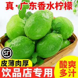 正宗广东香水柠檬10斤新鲜青柠檬商用一级当季奶茶店专用水果整箱
