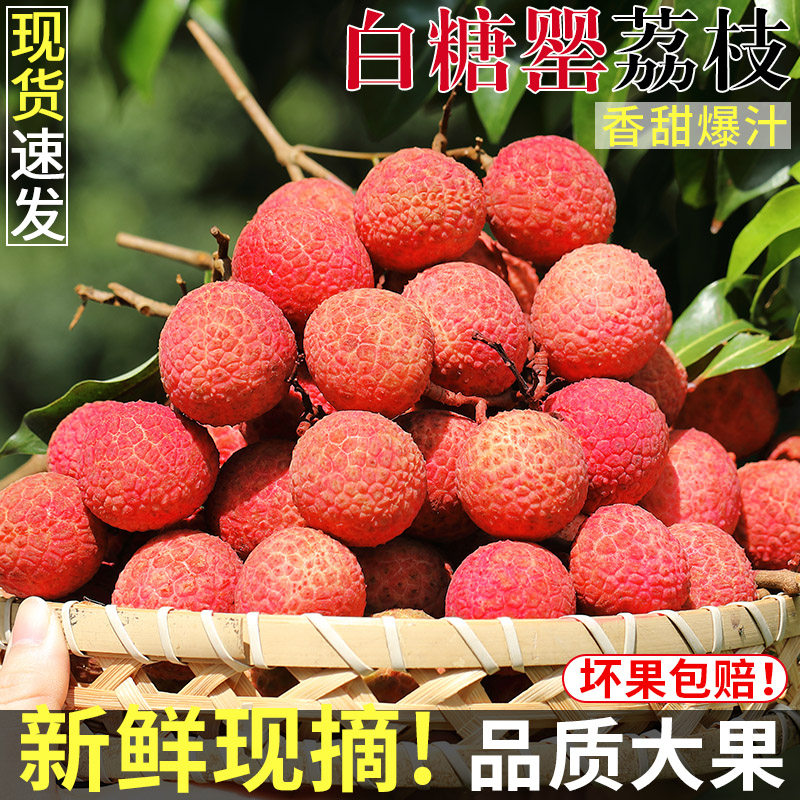 广东茂名白糖罂荔枝新鲜水果5斤当季现摘糯米味糍桂荔枝大果整箱3
