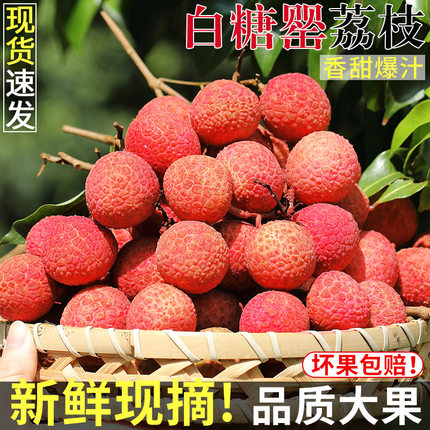 广东茂名白糖罂荔枝新鲜水果5斤当季现摘糯米味糍桂荔枝大果整箱3