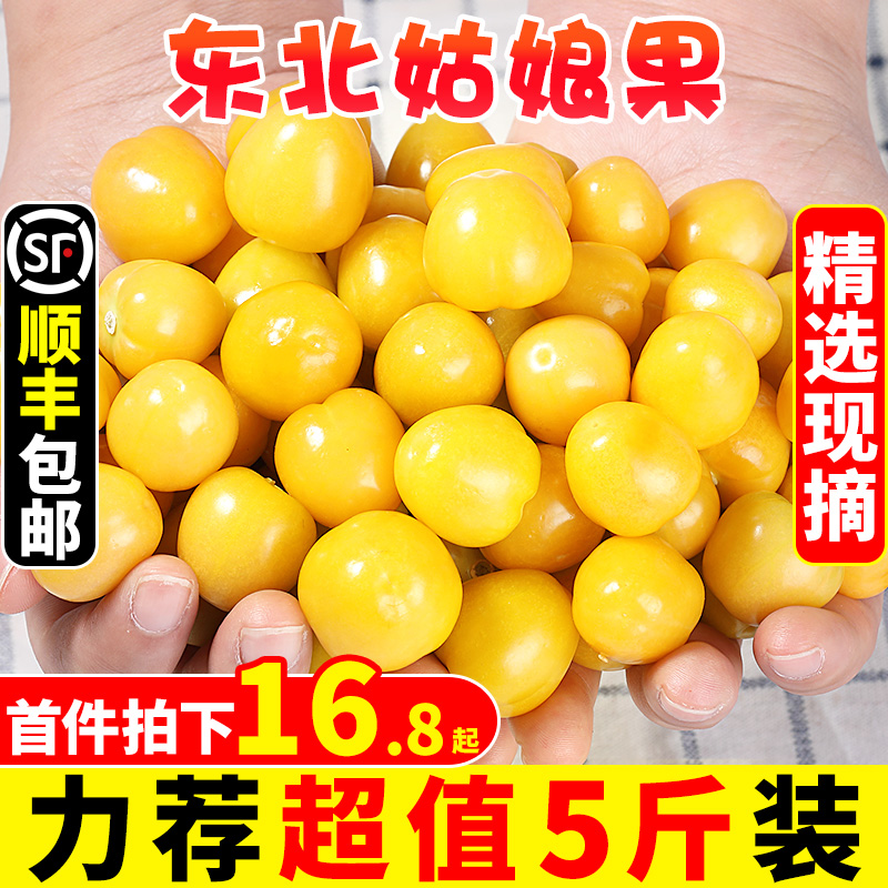 东北姑娘果新鲜当季水果5斤
