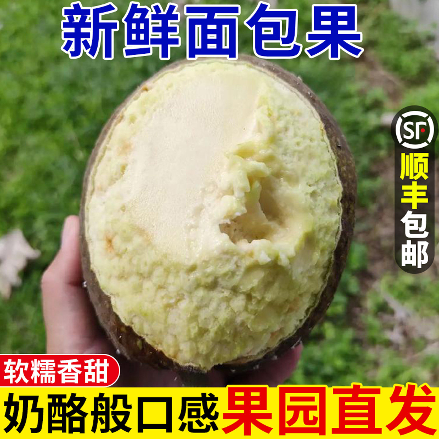 新鲜面包果！冰淇淋口感！现摘