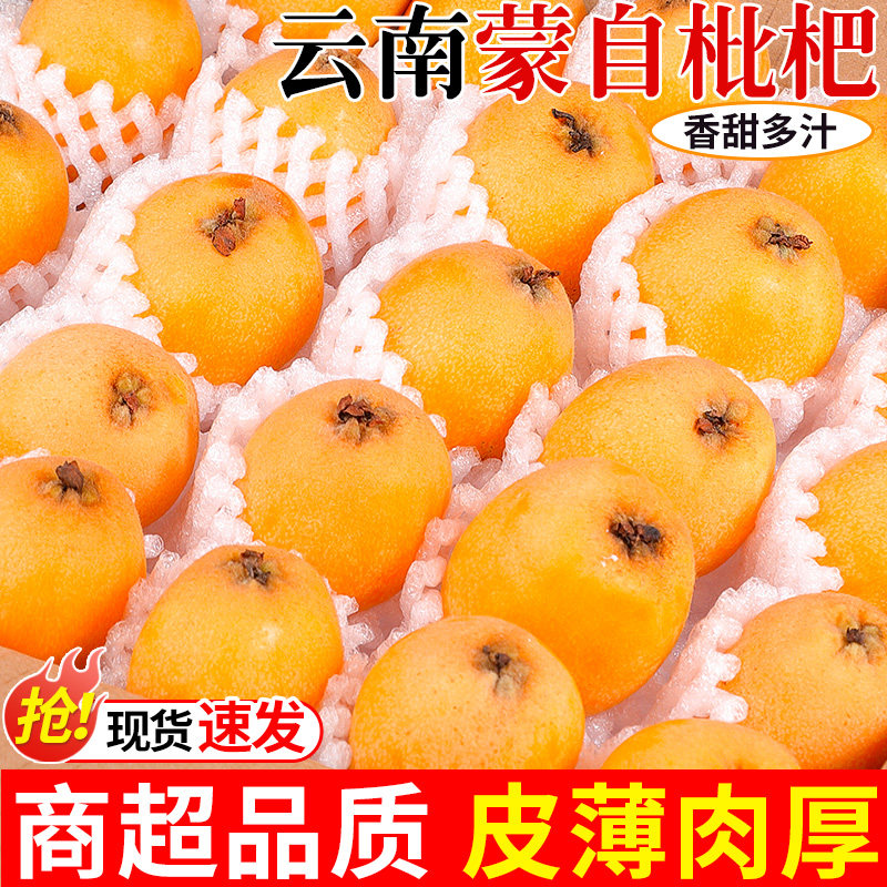 正宗云南蒙自甜枇杷5斤新鲜水果当季长虹琵琶枇杷现摘树上熟整箱3