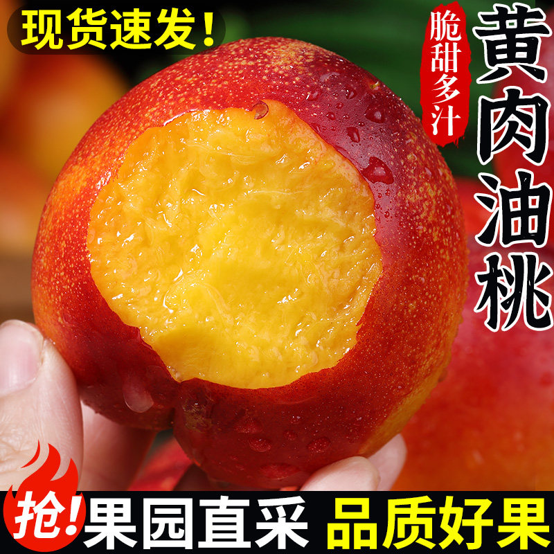 正宗黄肉油桃新鲜水果当季现摘脆甜黄心水密桃蜜脆桃大果孕妇包邮