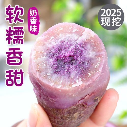 新鲜现挖 粉糯香甜  收藏加购优先发货