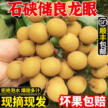 广东石硖龙眼新鲜储良龙眼应当季时令水果鲜桂圆老树大果顺丰包邮