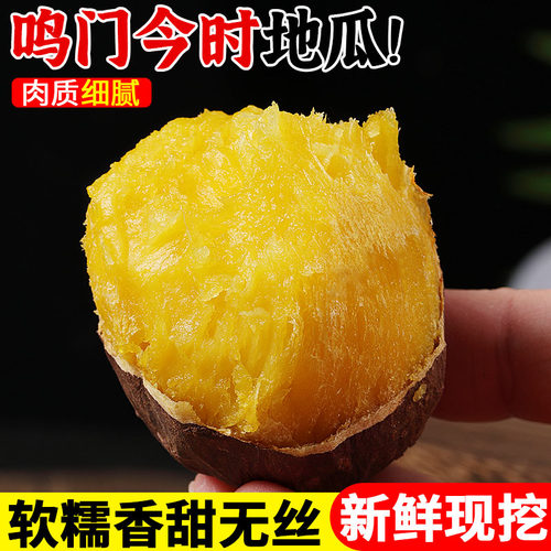 软糯香甜！现挖鸣门今时地瓜！