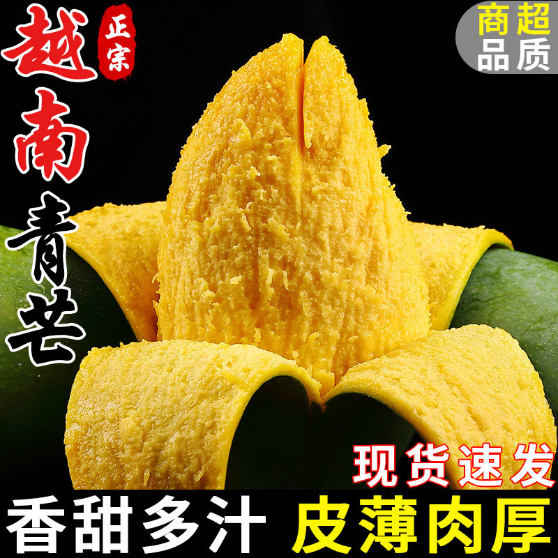 正宗越南大青芒！现摘速发！精品