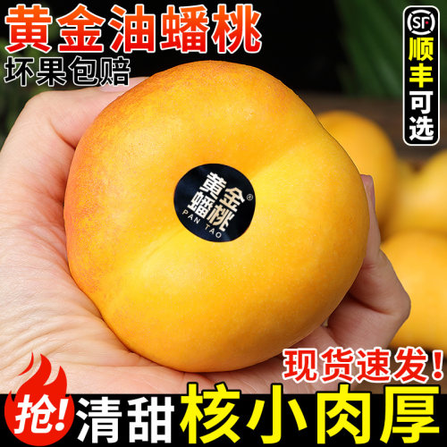 【精选品质】黄金油蟠桃！香甜