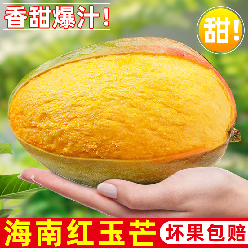 现摘!正宗三亚红玉芒果!香甜爆汁