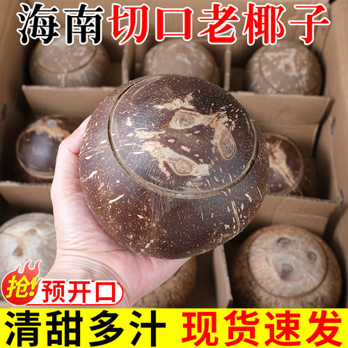 【精选品质】海南切口老椰子！