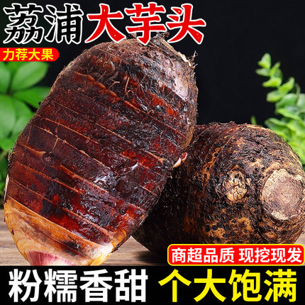 广西荔浦新鲜大芋头9斤正宗香芋槟榔芋现挖毛芋头紫藤芋蔬菜包邮3