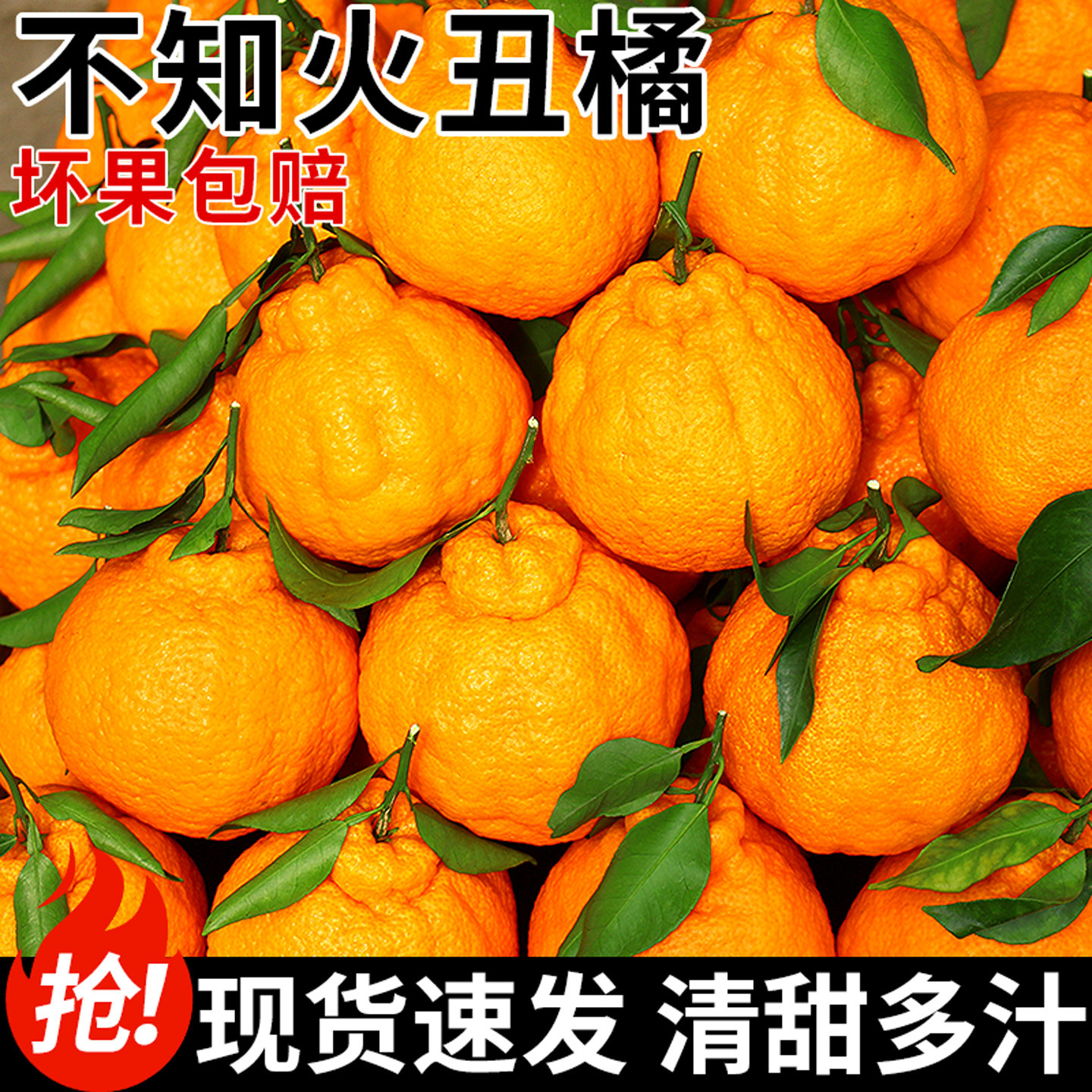 四川不知火丑橘新鲜水果应当季正宗丑粑粑蜜桔柑橘子大果整箱包邮