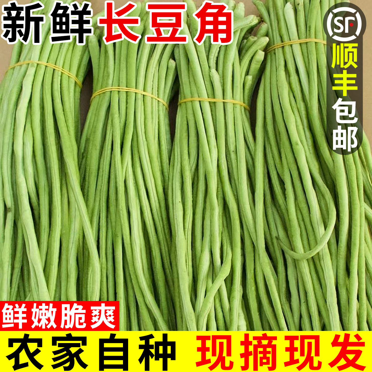 现摘现发!新鲜长豆角!新鲜脆嫩