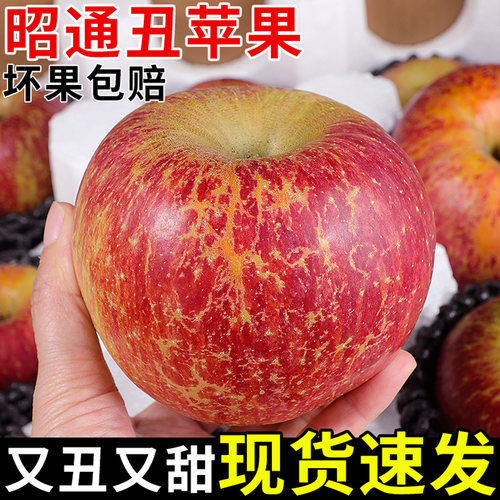 脆甜昭通丑苹果！不打蜡带皮吃！