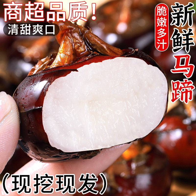 精选品质！现挖马蹄果！脆甜多汁