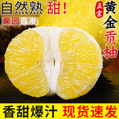 自然熟丨正宗黄金贡柚丨香甜多汁