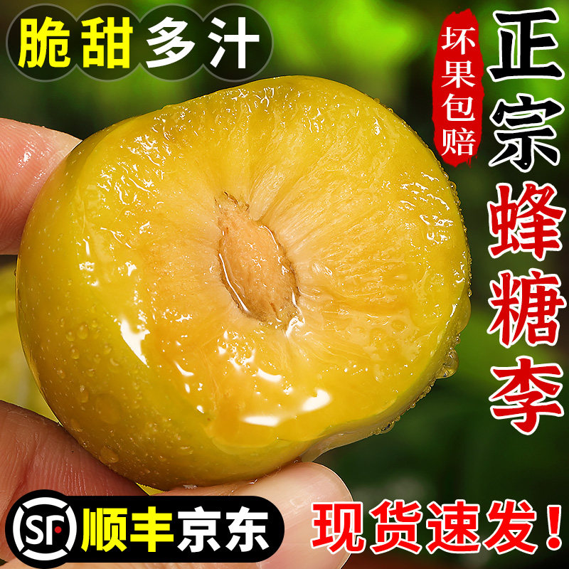 现摘现发丨正宗贵州蜂糖李丨脆甜