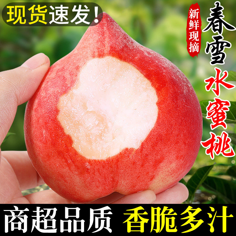 春雪水蜜桃5斤新鲜桃子当季水果现摘脆桃毛桃脆甜冬桃子大果整箱3