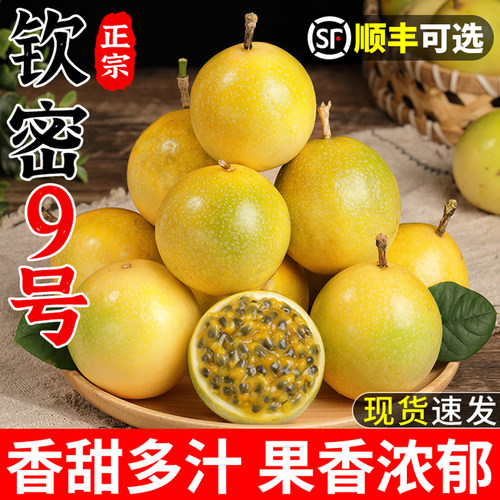 【官方推荐】广西钦蜜9号百香果