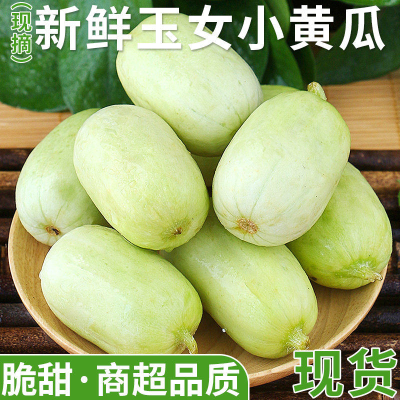 新鲜玉女小黄瓜当季水果生吃黄瓜小拇指青瓜白玉黄瓜现摘蔬菜包邮