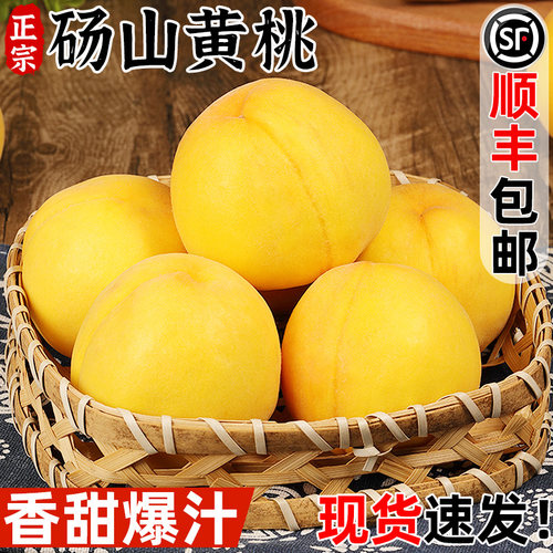 【脆软两吃】现摘正宗砀山黄桃！