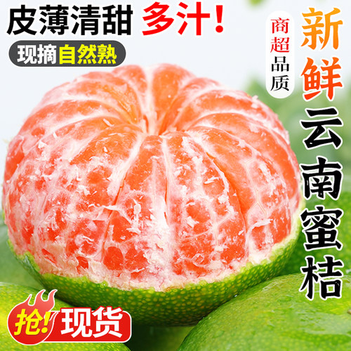 【现摘现发】云南蜜橘！酸甜多汁