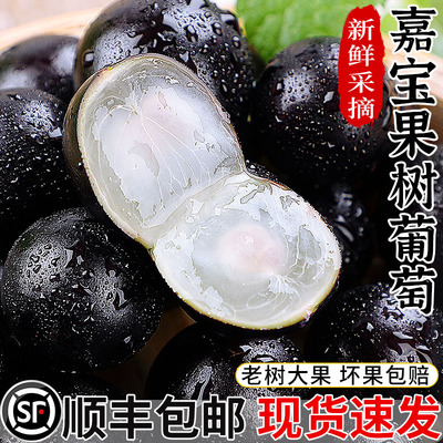 顺丰速发！嘉宝果葡萄！香甜多汁