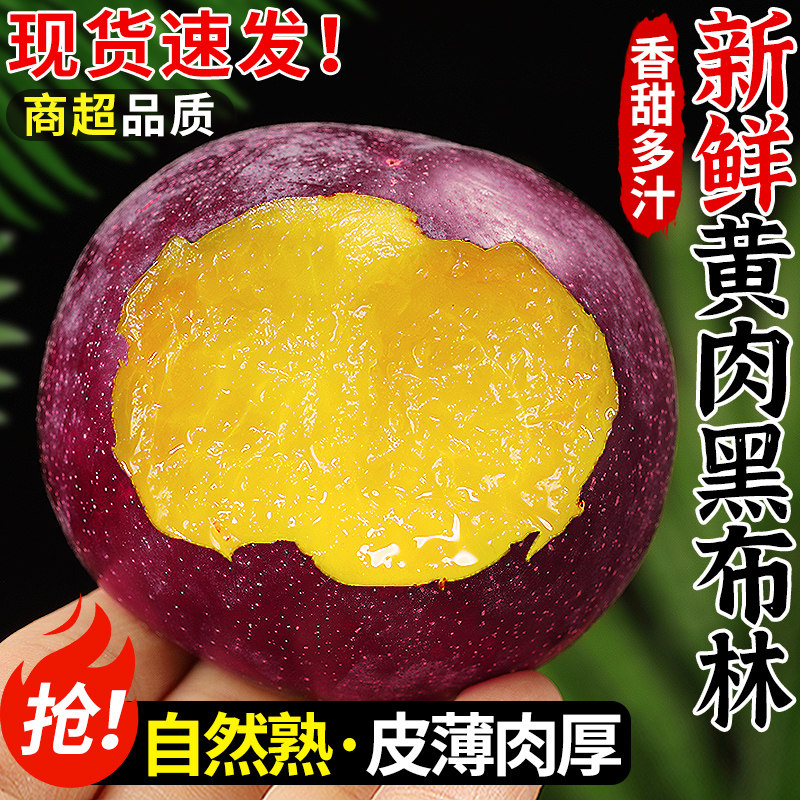 黄肉黑布林李子新鲜应当季水果现摘黄心李子黑布林黄肉恐龙蛋大果