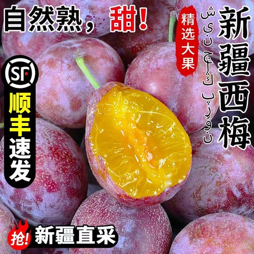 【顺丰包邮】正宗新疆法兰西西梅