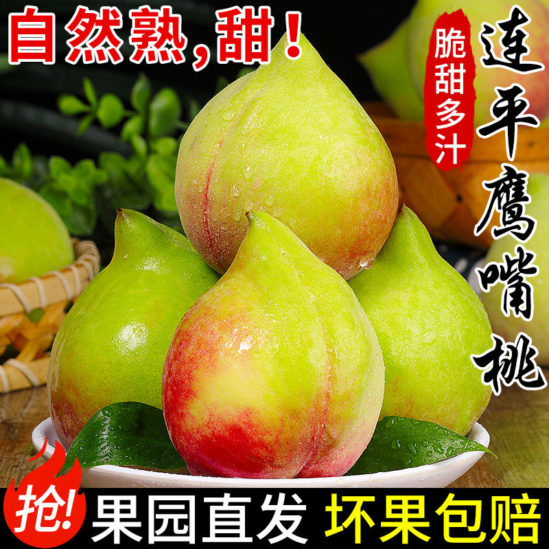 现摘现发!连平鹰嘴桃!脆甜爽口
