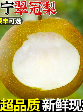 正宗建宁翠冠梨10斤当季新鲜脆甜黄花梨香酥雪梨水果苏翠一号梨